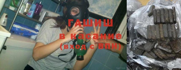 гашик Алексеевка