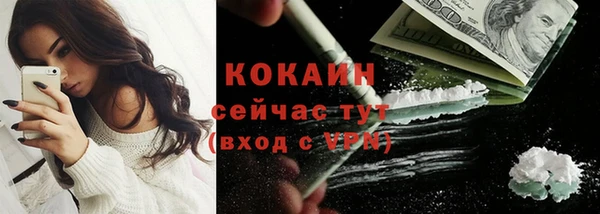 прущие грибы Алексин