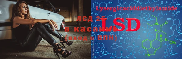 прущие грибы Алексин