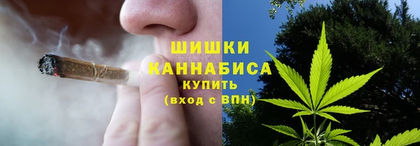 прущие грибы Алексин