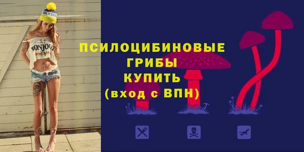 стафф Абинск