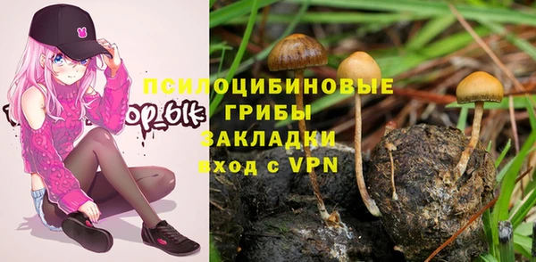 ALPHA PVP Алзамай