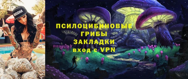 прущие грибы Алексин