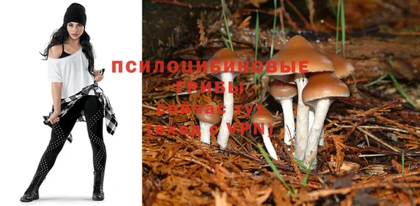прущие грибы Алексин