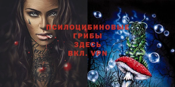 гашик Алексеевка