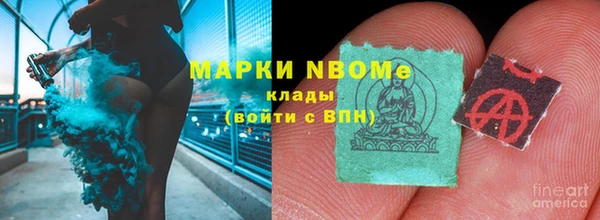 прущие грибы Алексин