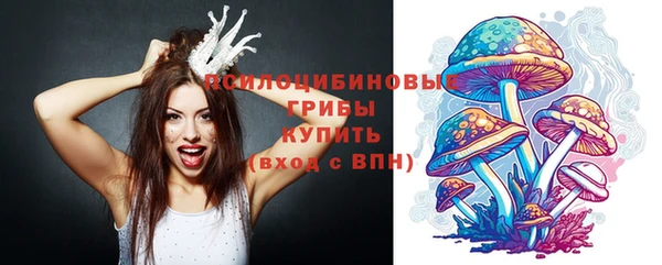 прущие грибы Алексин