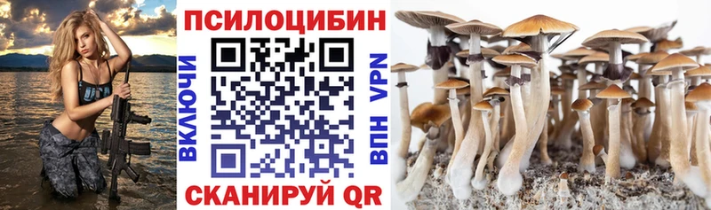 KRAKEN вход  даркнет сайт  Железноводск  Галлюциногенные грибы Psilocybine cubensis 