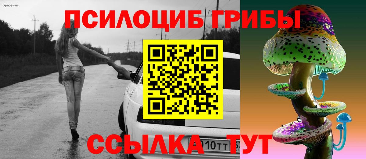 Галлюциногенные грибы Cubensis Железноводск
