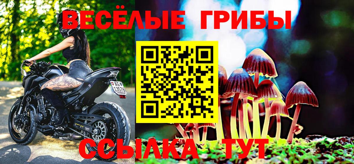 Железноводск  Псилоцибиновые грибы прущие грибы  Вход с VPN  Псилоцибиновые грибы Psilocybe 