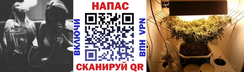 OMG ССЫЛКА  Железноводск  МАРИХУАНА SATIVA & INDICA 
